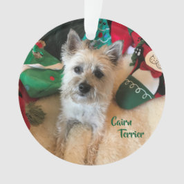 Cairn Terrier Acrylornament Ornament