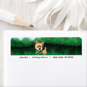 Cairn Terrier Adres Etiket (Insitu)