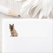 Cairn Terrier-adreslabels Etiket (Insitu)