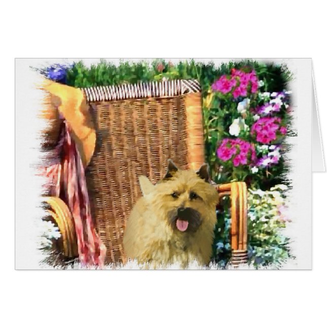 Cairn Terrier Art Gifts (Voorkant Horizontaal)
