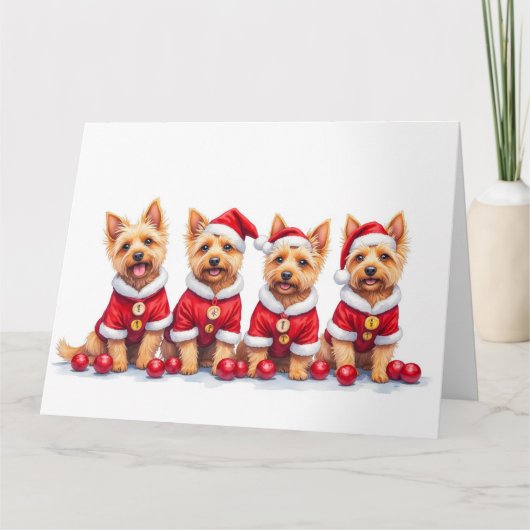 Cairn Terrier Christmas Dress Santa Hat Kaart (Voorkant)