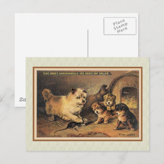 Cairn Terrier Dog en Haar Puppies Briefkaart (Voorkant / Achterkant)