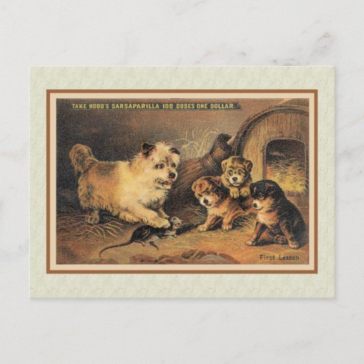 Cairn Terrier Dog en Haar Puppies Briefkaart (Voorkant)