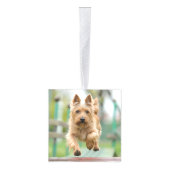 Cairn Terrier Dog Two Photo Kerstfeestdag Decoratie (Rechts)