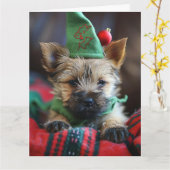 Cairn Terrier Elf Puppy Kerst Kaart (Gele Bloem)