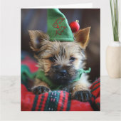 Cairn Terrier Elf Puppy Kerst Kaart (Voorkant)