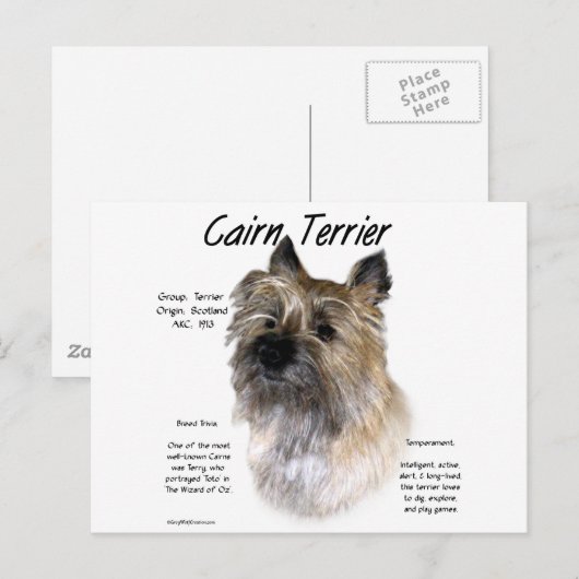Cairn Terrier Geschiedenis Ontwerp Briefkaart (Voorkant / Achterkant)