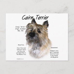 Cairn Terrier Geschiedenis Ontwerp Briefkaart