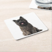 Cairn Terrier Grey Black Puppy Dog Love Kartonnen Onderzetters (Schuin)