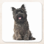 Cairn Terrier Grey Black Puppy Dog Love Kartonnen Onderzetters (Voorkant)
