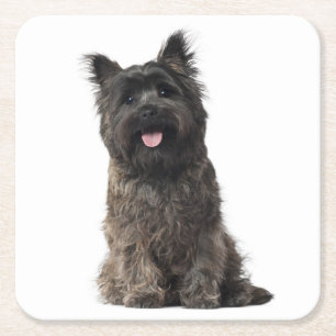 Cairn Terrier Grey Black Puppy Dog Love Kartonnen Onderzetters