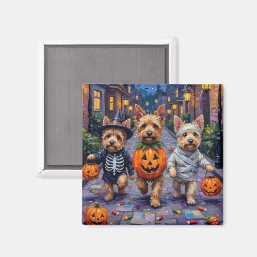 Cairn Terrier Halloween Kostuums Magneet (Voorkant / Achterkant)