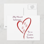 Cairn Terrier Heart behoort tot Briefkaart (Voorkant / Achterkant)