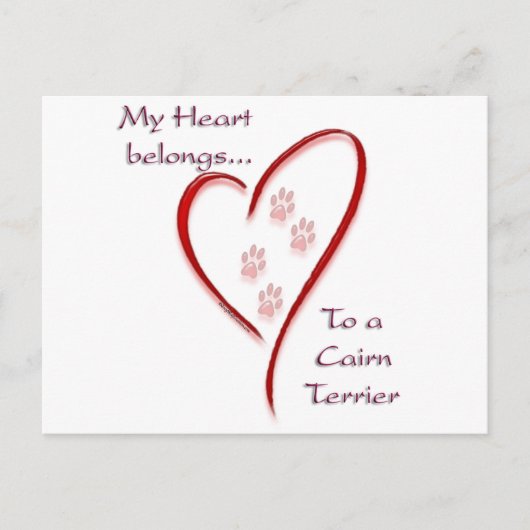 Cairn Terrier Heart behoort tot Briefkaart (Voorkant)