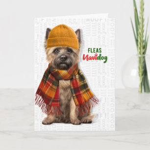 Cairn Terrier Hond Grappige Vlooien Navidog Kerstm Feestdagen Kaart