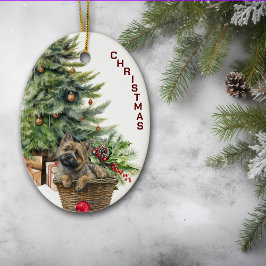 Cairn Terrier Hond Rieten Mand Kerstmis Keramisch Ornament