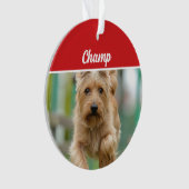 Cairn Terrier Hond Vakantiefoto Kerstmis Ornament (voorkant)