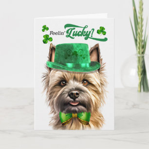 Cairn Terrier hond voelt zich Lucky St Patrick's D Feestdagen Kaart