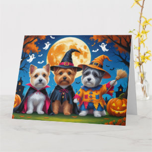 Cairn Terrier Honden Pompoen Halloween Grappig Kaart