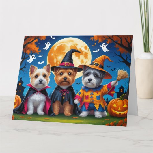 Cairn Terrier Honden Pompoen Halloween Grappig Kaart (Voorkant)