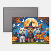 Cairn Terrier Honden Pompoen Halloween Grappig Magneet (Voorkant / Achterkant)