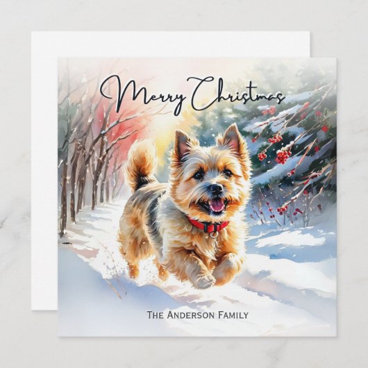 Cairn Terrier In Sneeuw Winter Vrolijk Kerstfeest Feestdagenkaart (Voorkant / Achterkant)