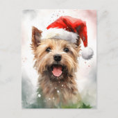 Cairn Terrier Kerstborstel schilderen kunstwerk Briefkaart (Voorkant)