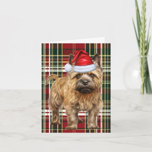 Cairn Terrier Kersthond Plaid Kerstmis Feestdagen Kaart (Voorkant)