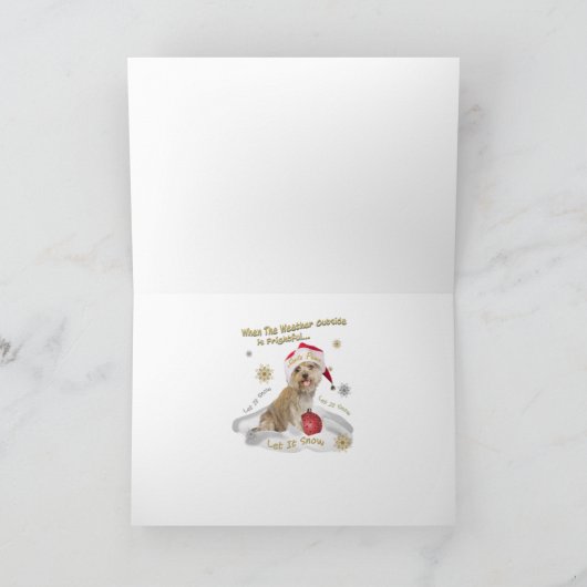 Cairn Terrier laat het Kaarten sneeuwen (Binnen)