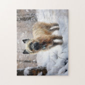 Cairn Terrier Laat het sneeuwen Kerstmis Legpuzzel (Verticaal)