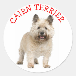 Cairn Terrier Liefde Puppy Hond Stickers
