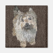 Cairn Terrier Magnet (Voorkant)