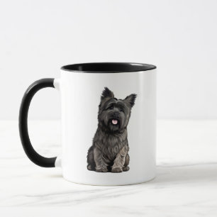 Cairn Terrier Mok