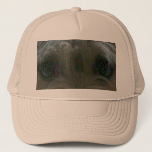 Cairn terrier ogen trucker pet