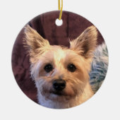 Cairn Terrier Ornament (Voorkant)