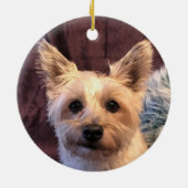 Cairn Terrier Ornament (Achterkant)