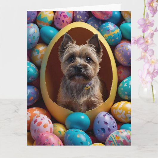 Cairn Terrier Pasen Eieren Kaart (Orchidee)