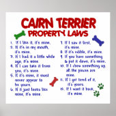 CAIRN TERRIER PL2 POSTER (Voorkant)