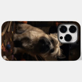 Cairn Terrier Pompoenen Halloween Griezelen Case-Mate iPhone Case (Achterkant (horizontaal))