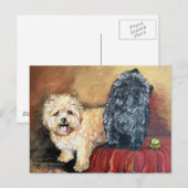 Cairn Terrier Portrait Briefkaart (Voorkant / Achterkant)