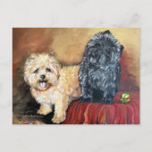 Cairn Terrier Portrait Briefkaart (Voorkant)