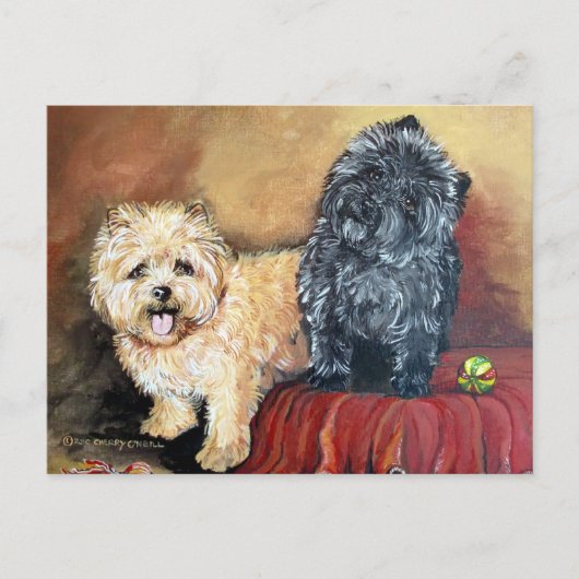 Cairn Terrier Portrait Briefkaart (Voorkant)