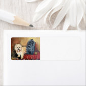 Cairn Terrier Portrait Etiket (Insitu)