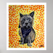 Cairn Terrier Poster (Voorkant)