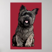 Cairn Terrier Poster (Voorkant)
