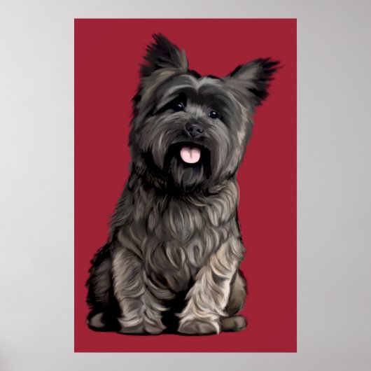 Cairn Terrier Poster (Voorkant)