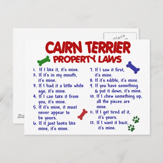 CAIRN TERRIER Property Laws 2 Briefkaart (Voorkant / Achterkant)