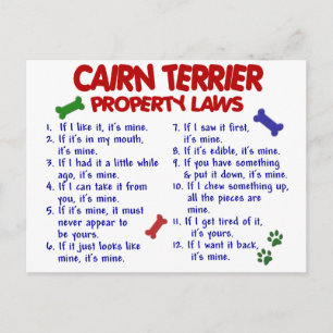 CAIRN TERRIER Property Laws 2 Briefkaart