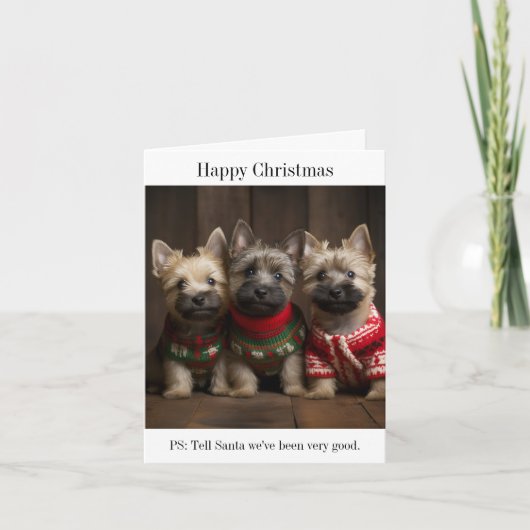 Cairn Terrier Puppies Kerst Kaart (Voorkant)