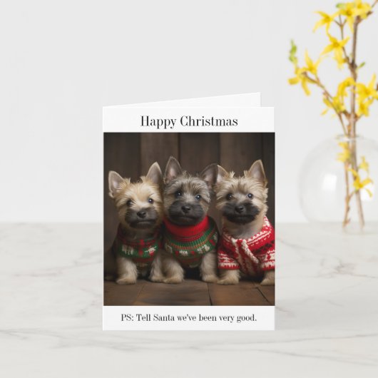 Cairn Terrier Puppies Kerst Kaart (Gele Bloem)